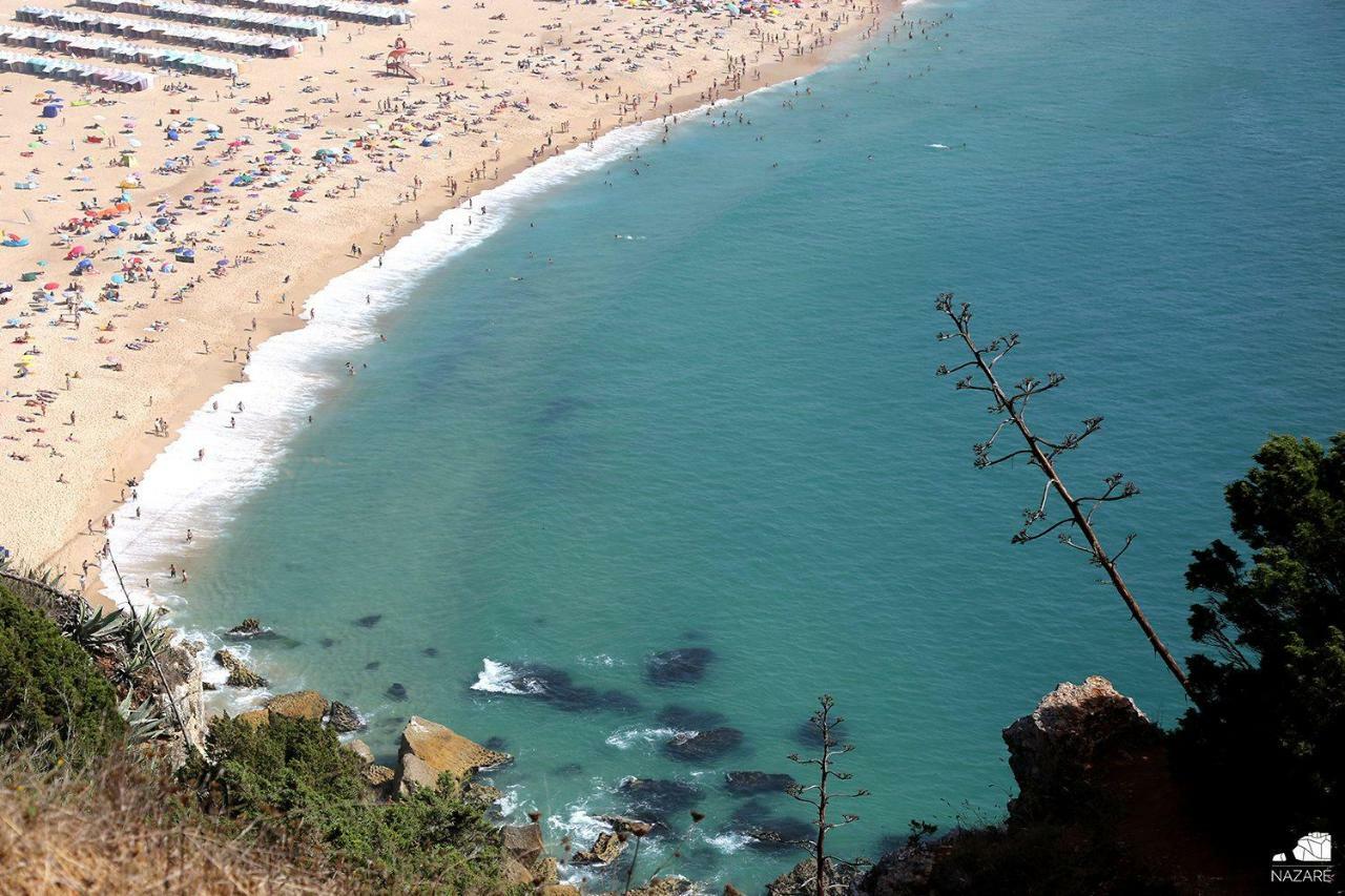 T4 Luis Lägenhet Nazaré Exteriör bild